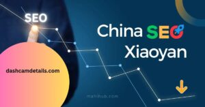 Unveiling the Enigma of China SEO Xiaoyan Navigating the Digital Landscape (1)